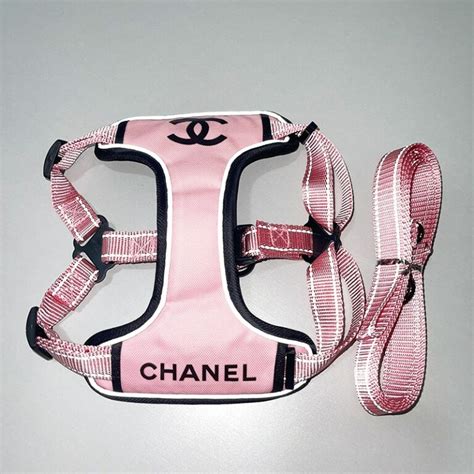 chanel dog clothes accessories|designer dog collars Chanel.